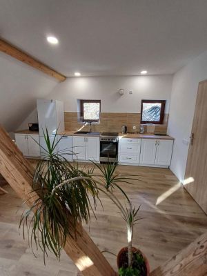 Apartmány Hájenka Nové Hutě