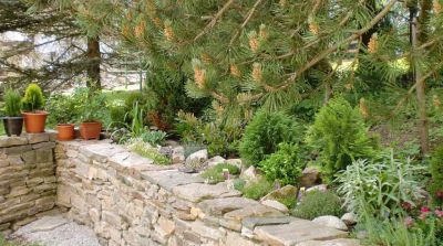 Apartmány Hájenka Nové Hutě