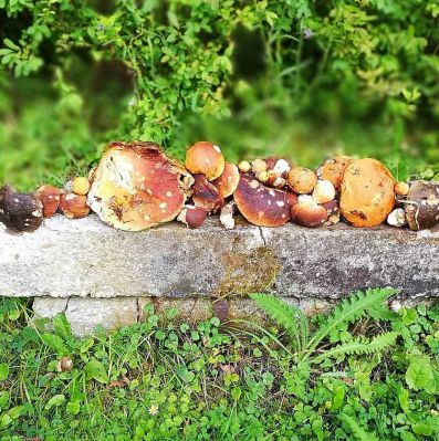 Hájenka u Lesa - Dolní Morava