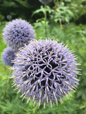 Hájenka u Lesa - Dolní Morava