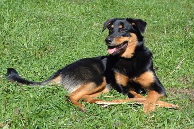 Hájovna - Čeňkova Pila