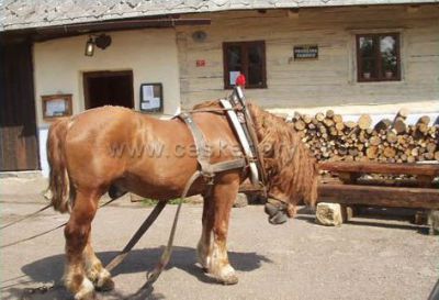 Hamerská krčma Jonáš