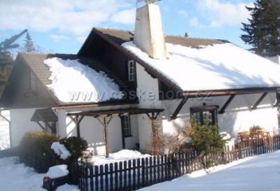 Hamrlíkovi - pronájem