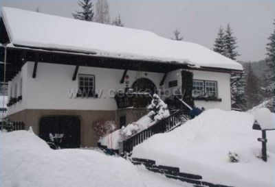 Hamrlíkovi - pronájem