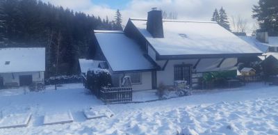 Hamrlíkovi - pronájem