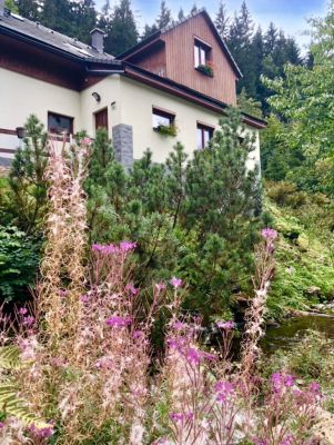 Luxusní apartmán v Harrachově