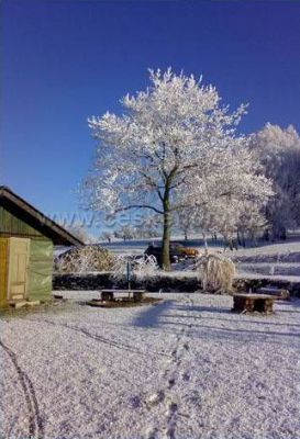 Ubytování Bystré v Orlických horách