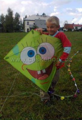 Ubytování Bystré v Orlických horách