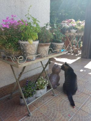 Horský pension HERTA I