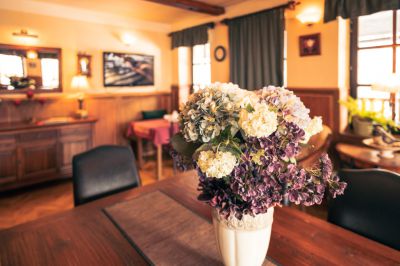 Horský pension HERTA I