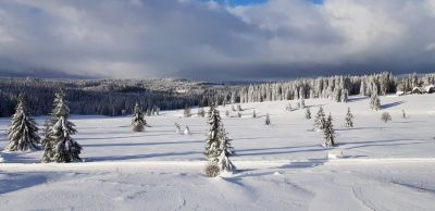 Atelier Filipova Huť č.30