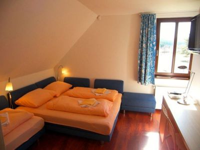 Hofman Apartmány Šumava