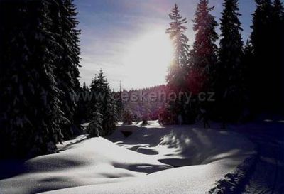 Hofman Apartmány Šumava