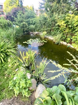 Apartmán v Českém Ráji