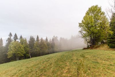 Horská chata Sněžná
