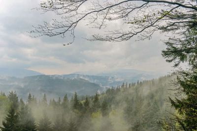 Horská chata Sněžná