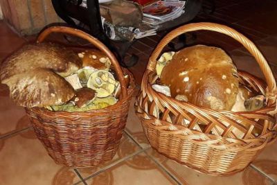 Horská chata Šumava