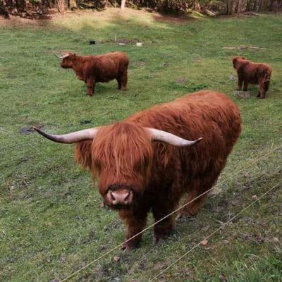 Horská chata Šumava