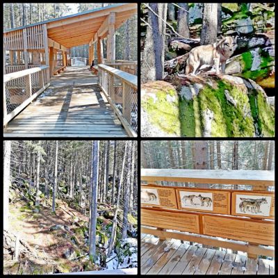 Horská chata Šumava