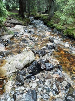 Horská chata Šumava