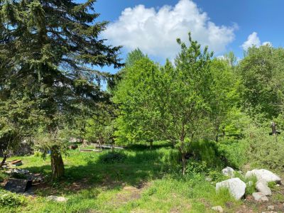 Žlutý dům - horská chalupa Krušné hory