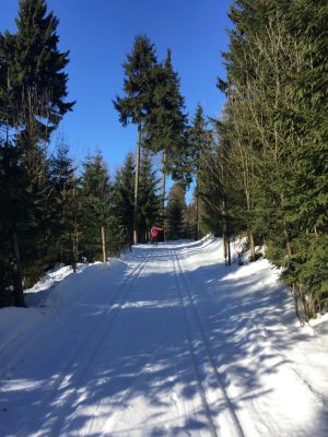 Žlutý dům - horská chalupa Krušné hory