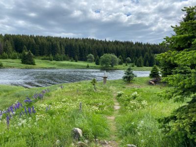 Žlutý dům - horská chalupa Krušné hory