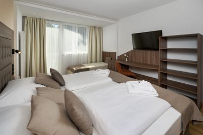 Wellness Hotel Astra ****