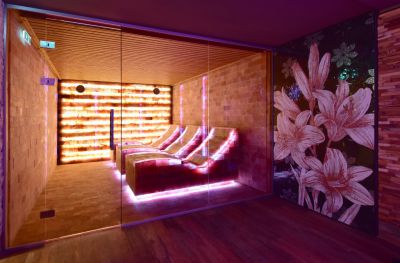 Wellness Hotel Astra ****