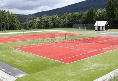 Hotel Ski Příčná