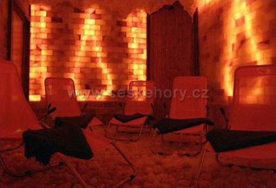 Wellness hotel Avicenum ***