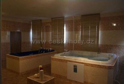 Wellness hotel Avicenum ***