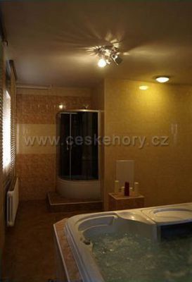 Wellness hotel Avicenum ***