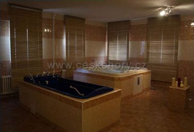 Wellness hotel Avicenum ***