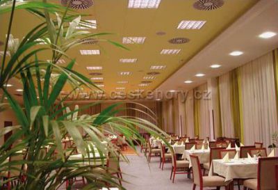 Wellness Hotel Frymburk