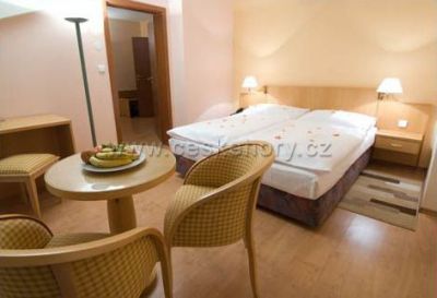 Wellness Hotel Frymburk