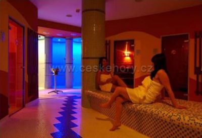 Wellness Hotel Frymburk