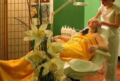 Wellness Hotel Frymburk