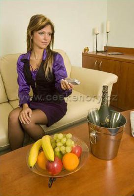 Hotel na Vysočině Jehla