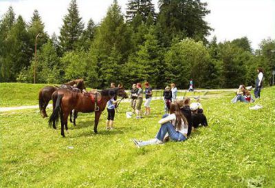 Hotel na Vysočině Jehla