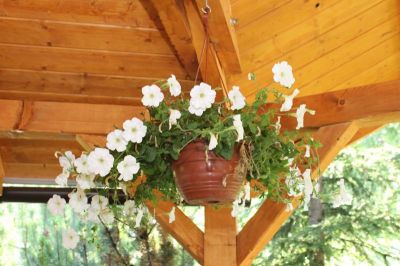 Hotel Pod Jedlovým vrchem