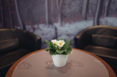 Horský hotel Pomezí