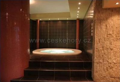 Wellness Hotel Rusava***