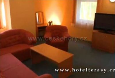 Hotel Terasy