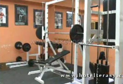 Hotel Terasy