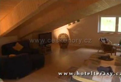 Hotel Terasy