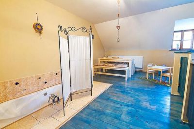 Královský pobyt na hradě Vildštejn či v podhradí