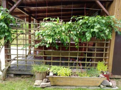 Chalupa Rajnochovice