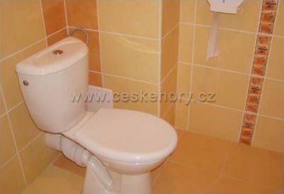 Apartmány INSAP - Lipno