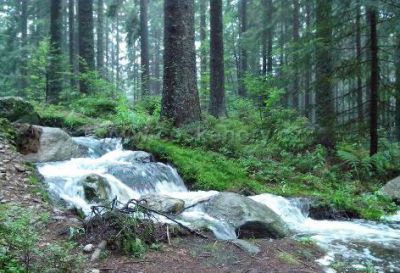 Ubytování v soukromí U Sýkorů